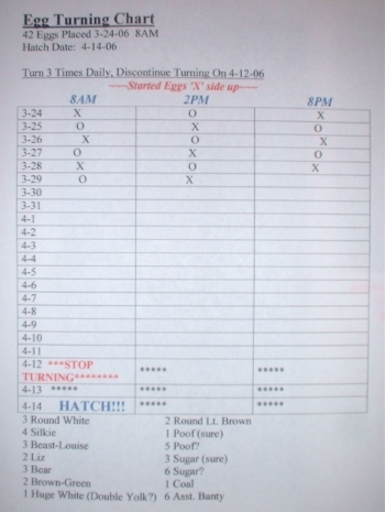 Egg turning chart