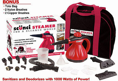 Portable steam cleaner