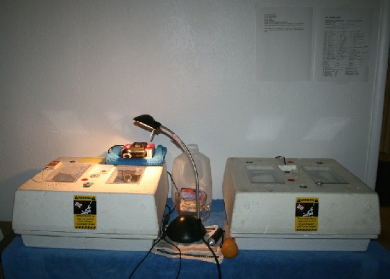 Two styrofoam incubators